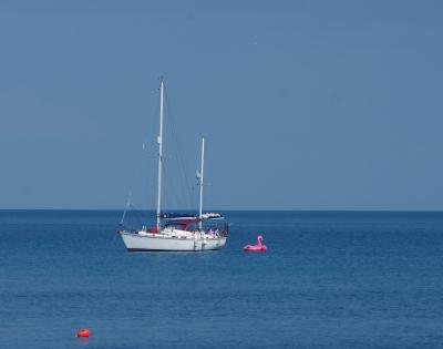 Прикрепленное изображение: IMGP6492.jpg